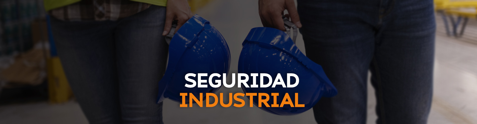 banners_interno_seguridad_industrial.jpg